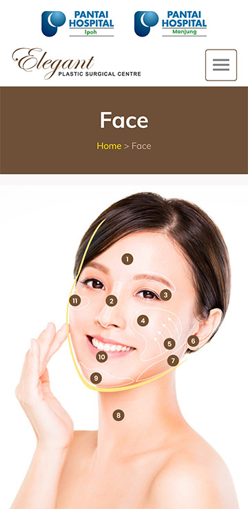 Plastic surgery in Perak